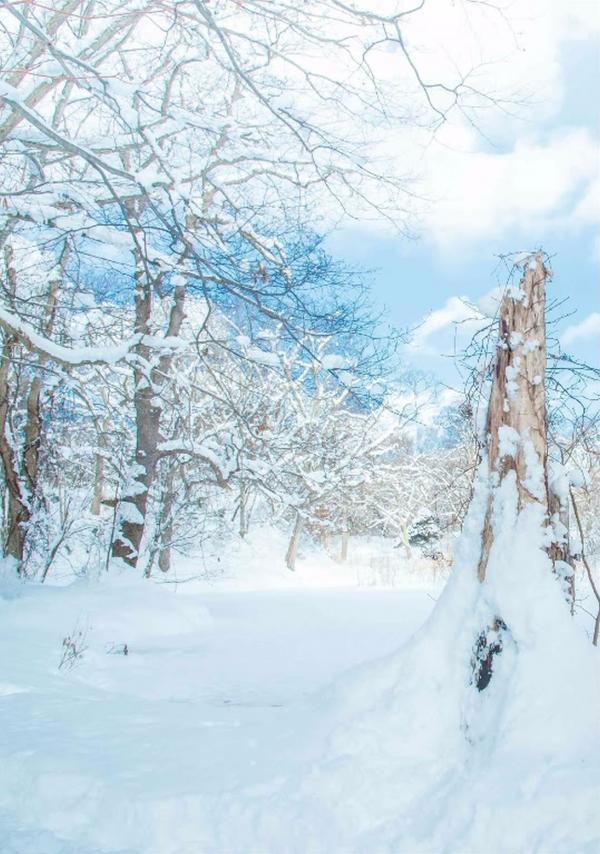 Whoseman-11-國民男友-阿部